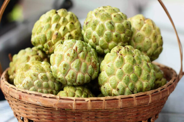 Sugar apple