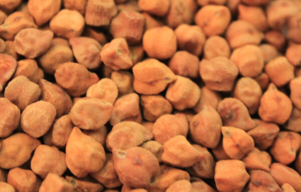 Chickpeas (Chana)