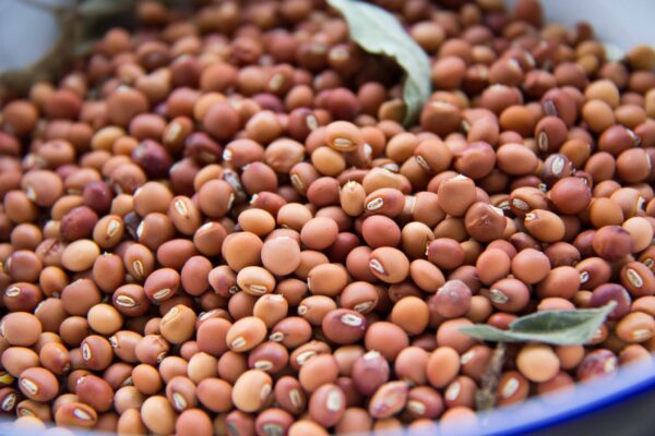 Pigeon Peas (Toor/Tuvar Dal)